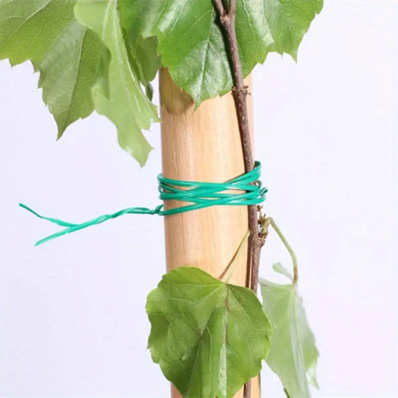 Jardin Fil De Fer Twist - Band - Rouleau De 50 M Pour Les Plantes Et Le Jardinage