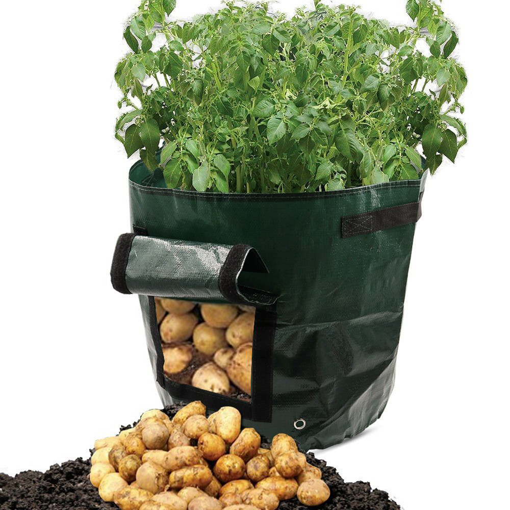 Sac de Plantation pour Pommes de Terre - Réutilisable et avec Fenêtre