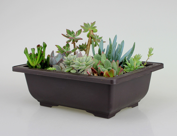 Pot de Plantes avec Soucoupe - Pot de Fleurs Rectangulaire pour le Jardin et le Balcon
