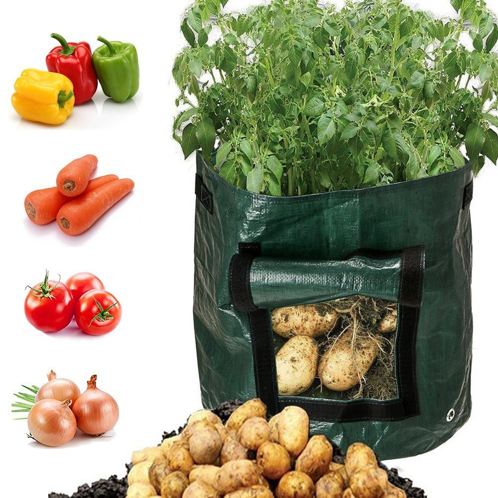Sac de Plantation pour Pommes de Terre - Réutilisable et avec Fenêtre