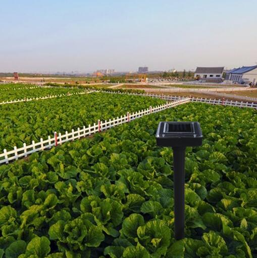 Défense Solaire contre les Serpents et les Ravageurs - Appareil à Ultrasons pour le Jardin