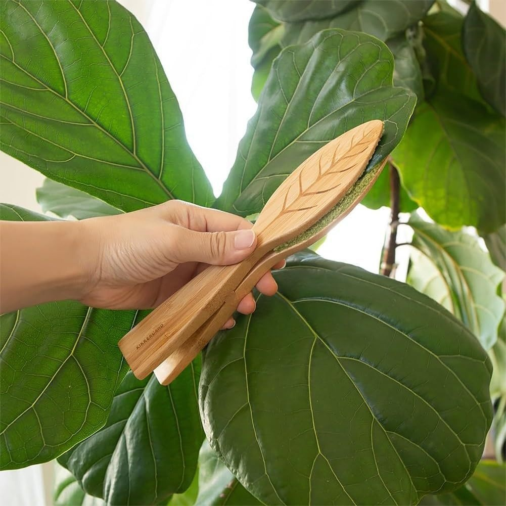 Pince De Nettoyage Des Feuilles Des Plantes En Bois Pour Un Entretien En Douceur Des Feuilles