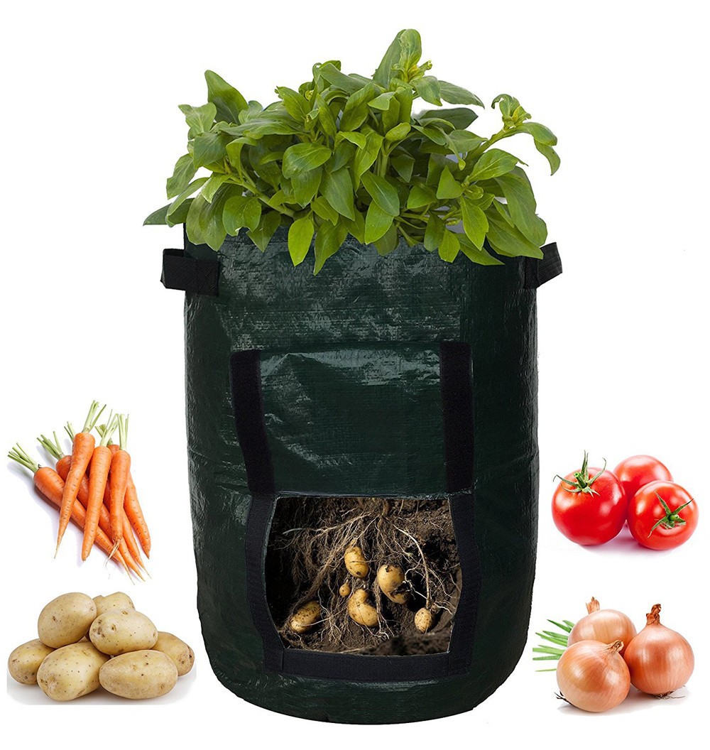 Sac de Plantation pour Pommes de Terre - Réutilisable et avec Fenêtre