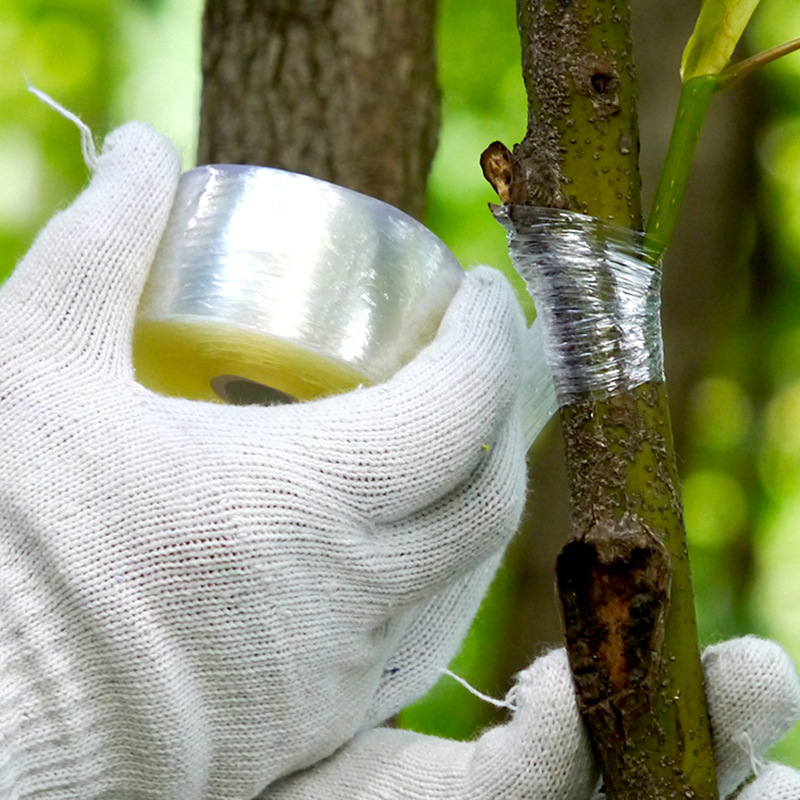 Bande de Greffage pour Plantes - Bande de Greffage Autocollante pour la Taille des Arbres et le Greffage