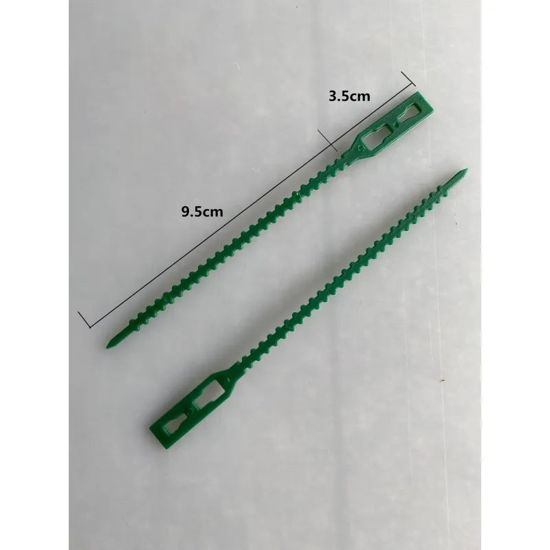 Set De Colliers De Fixation Pour Plantes Pour Une Fixation Stable Des Plantes