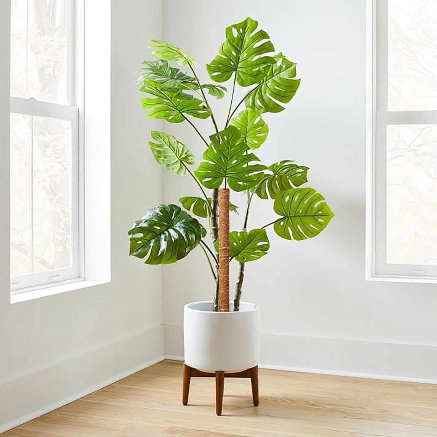 Tige en Mousse de Coco pour Plantes Grimpantes - Support Naturel pour Plantes D' Intérieur et de Jardin