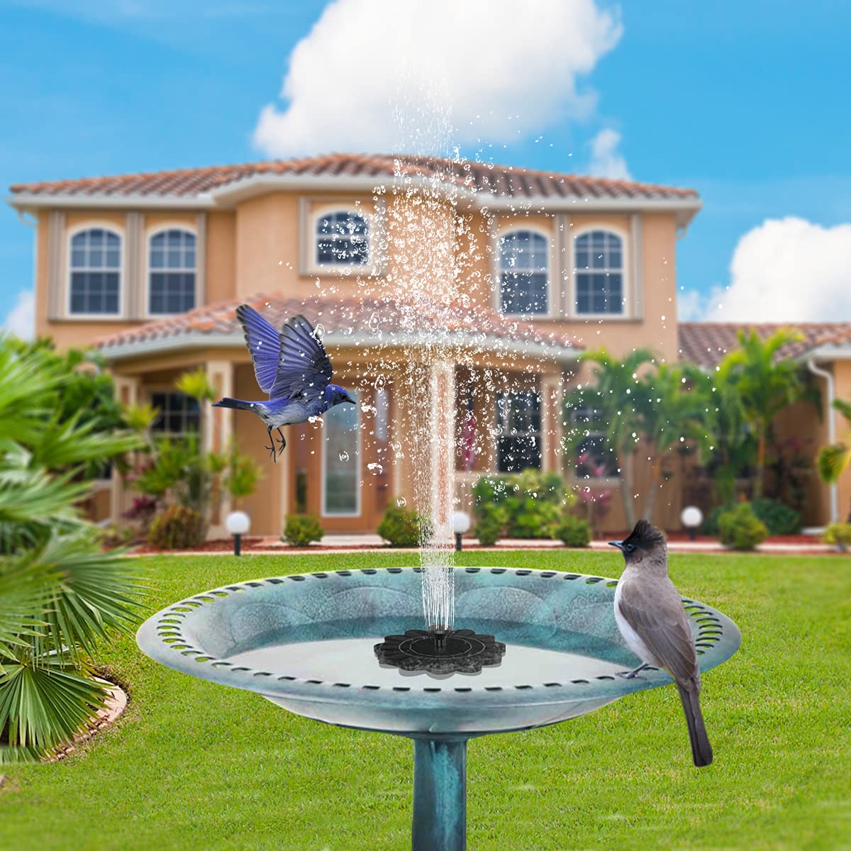 Fontaine à Énergie Solaire pour le Jardin - Design Floral Fontaine D' Eau pour Étangs et Piscines