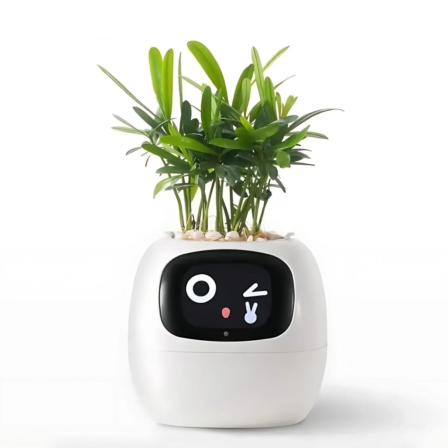 Pot De Fleurs Automatique Intelligent Avec Système D' Arrosage Et Lumières Led