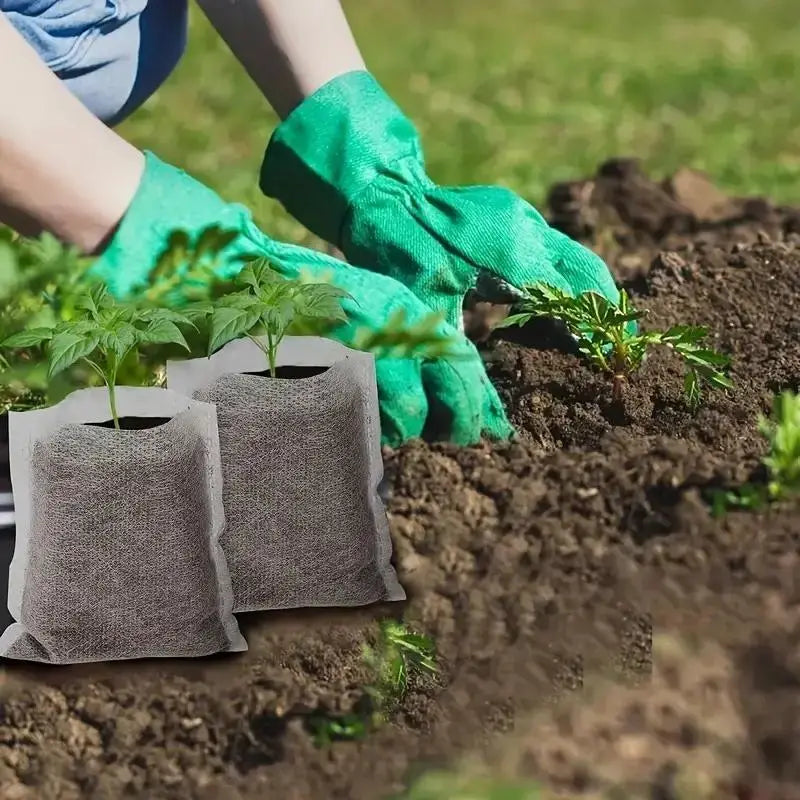 Sachets de Culture en Non-tissé - Sachets de Culture Compostables pour Plantes