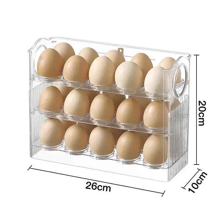 Organisateur D' Œufs Pratique