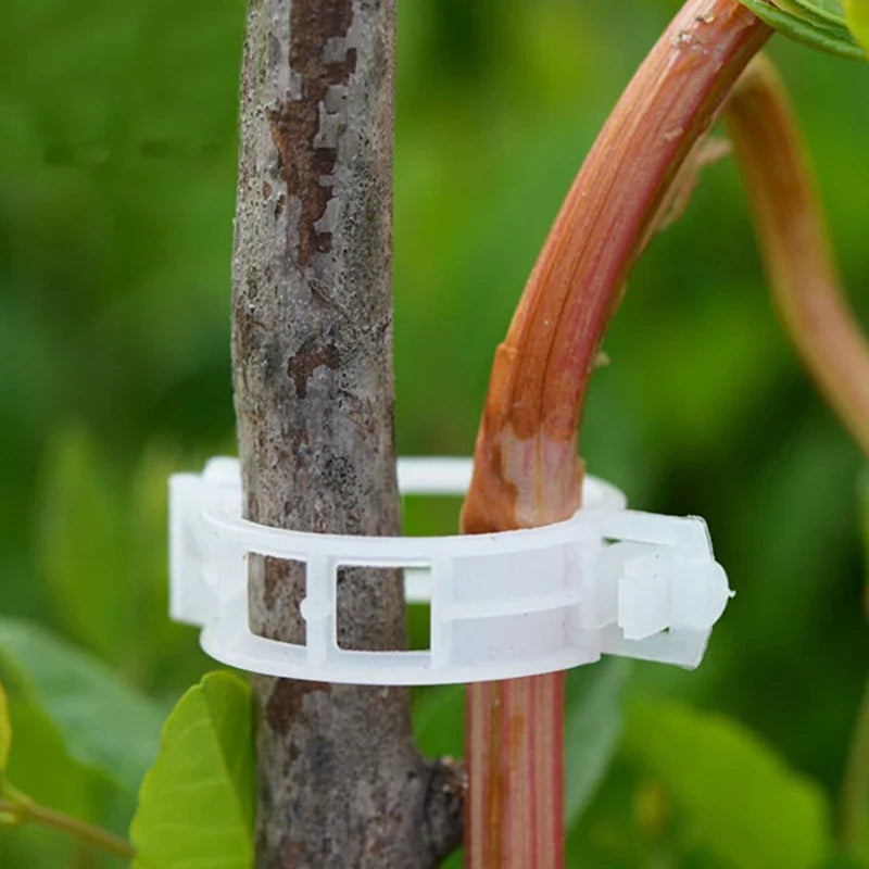 Clip de Support pour Plantes Grimpantes - Support Flexible pour Troncs de Plantes
