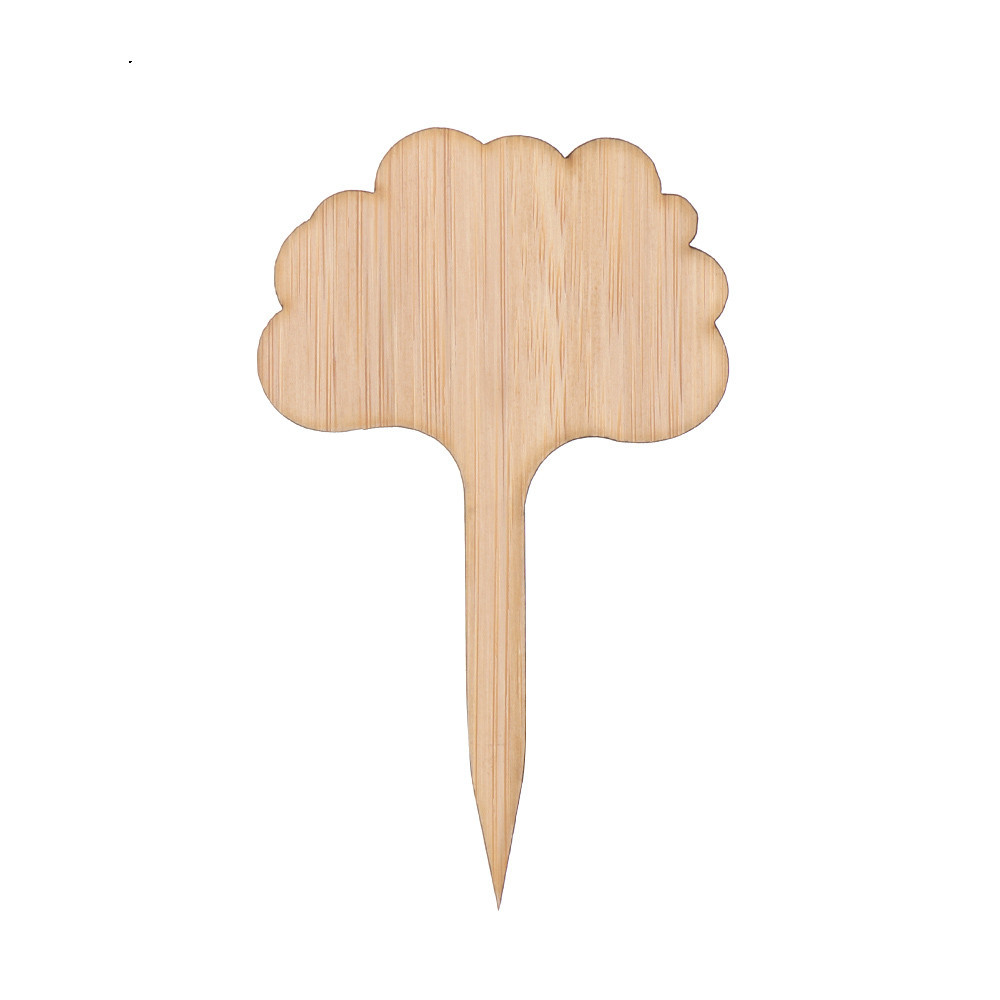 Etiquettes de Plantes en Bois pour le Jardin et le Balcon - Etiquettes Réinscriptibles pour les Herbes et les Plantes