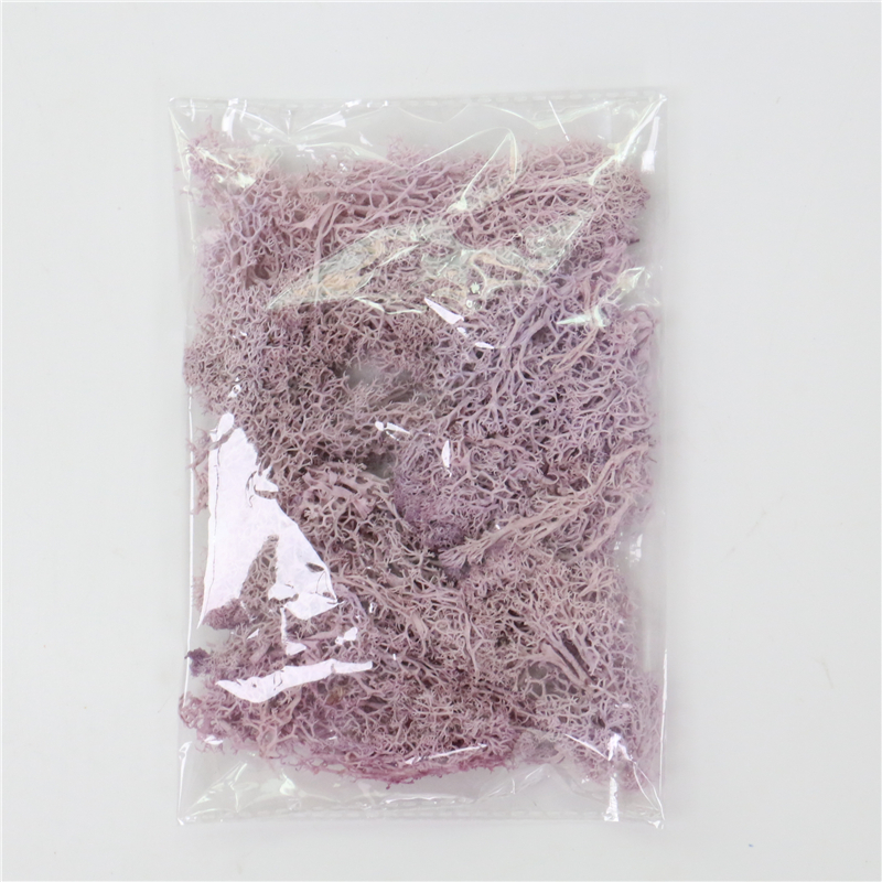 Mousse Artificielle Pour L' Aménagement Paysager - Mousse Et Fleurs Pour La Décoration Et L' Art Floral