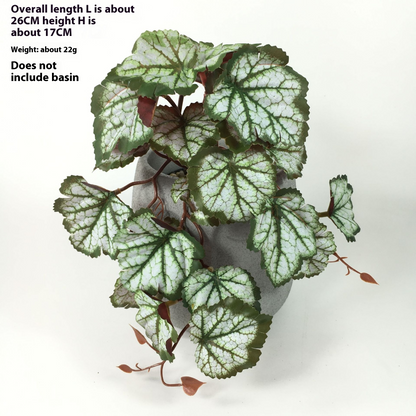 Plante Artificielle Suspendue Pour Une Décoration Naturelle À L' Intérieur Et À L' Extérieur