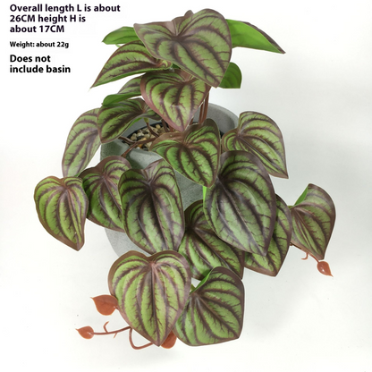 Plante Artificielle Suspendue Pour Une Décoration Naturelle À L' Intérieur Et À L' Extérieur