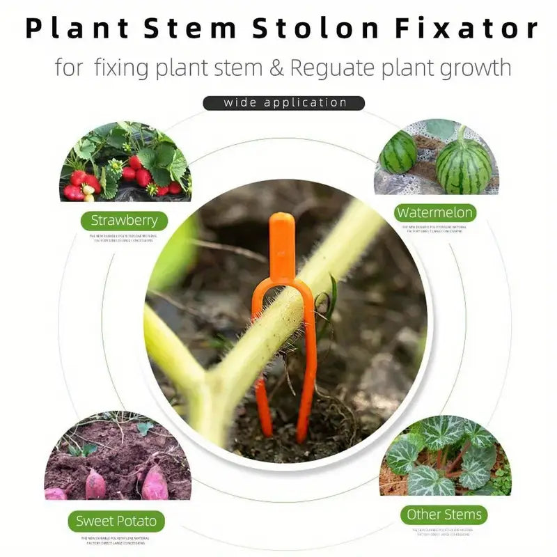 Plants de Soutien pour Plantes de Jardin en Plastique pour une Stabilité Optimale des Plantes