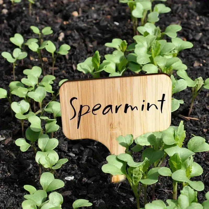 Etiquettes de Plantes en Bois pour le Jardin et le Balcon - Etiquettes Réinscriptibles pour les Herbes et les Plantes