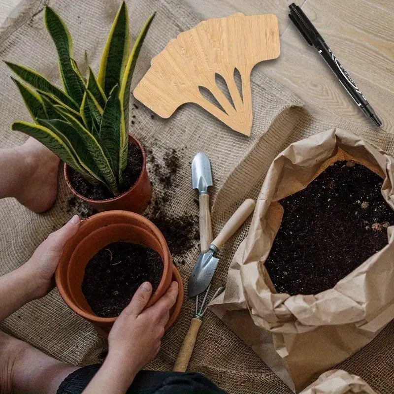 Etiquettes de Plantes en Bois pour le Jardin et le Balcon - Etiquettes Réinscriptibles pour les Herbes et les Plantes