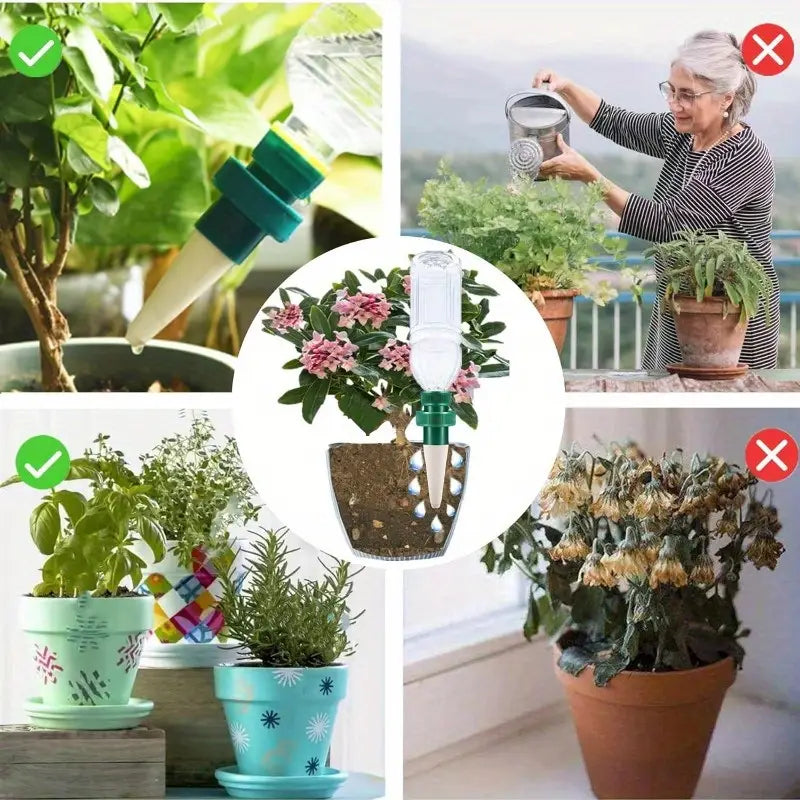 Pointes D' Auto-irrigation pour Plantes - Pointes de Goutte à Goutte Automatiques pour Bouteilles