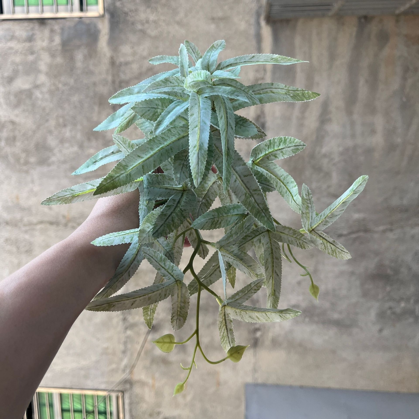 Plante Artificielle Suspendue Pour Une Décoration Naturelle À L' Intérieur Et À L' Extérieur