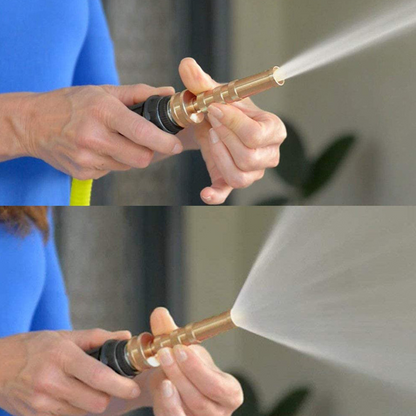 Tuyau D' Arrosage Flexible en Acier Inoxydable avec Raccord en Laiton - Durable et Robuste pour L' Arrosage du Jardin