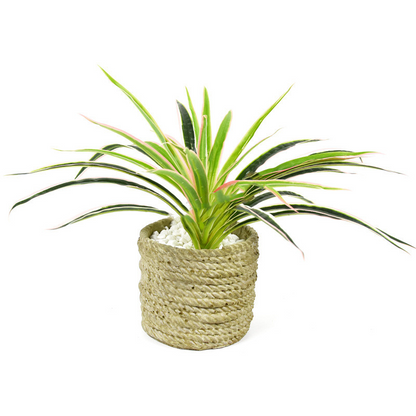 Plante D' Herbe Artificielle - Plante Décorative pour la Maison et le Bureau