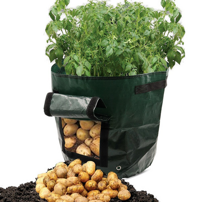 Sac de Plantation pour Pommes de Terre - Réutilisable et avec Fenêtre