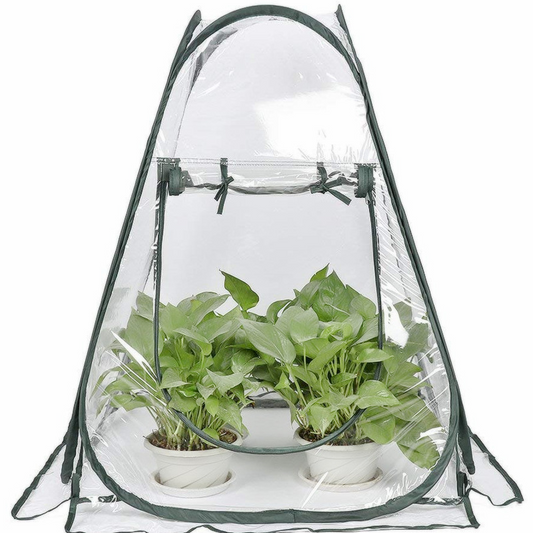 Tente Phytosanitaire Compacte pour les Plantes de Jardin - Serre Transparente