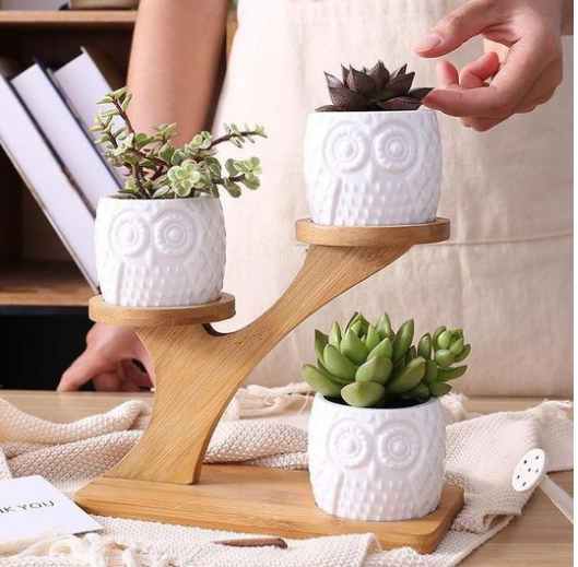 Porte-plantes Décoratif en Bois - Pots à Plantes au Design de Hibou pour Succulentes et Plantes D' Intérieur
