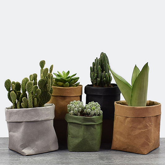 Des Jardinières Stylées En Papier Pour Une Décoration Moderne