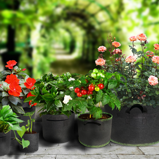 Sac À Plantes En Non-tissé - Conteneur De Jardinage Robuste Avec Poignées Pour Les Plantes