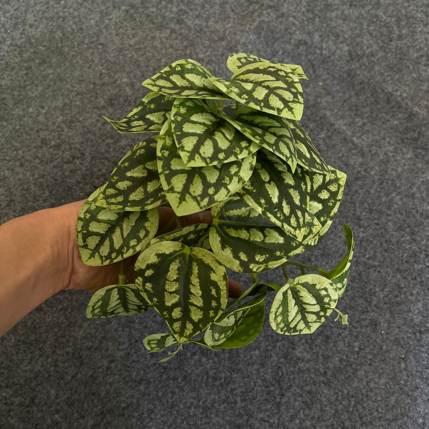 Plante Artificielle Suspendue Pour Une Décoration Naturelle À L' Intérieur Et À L' Extérieur