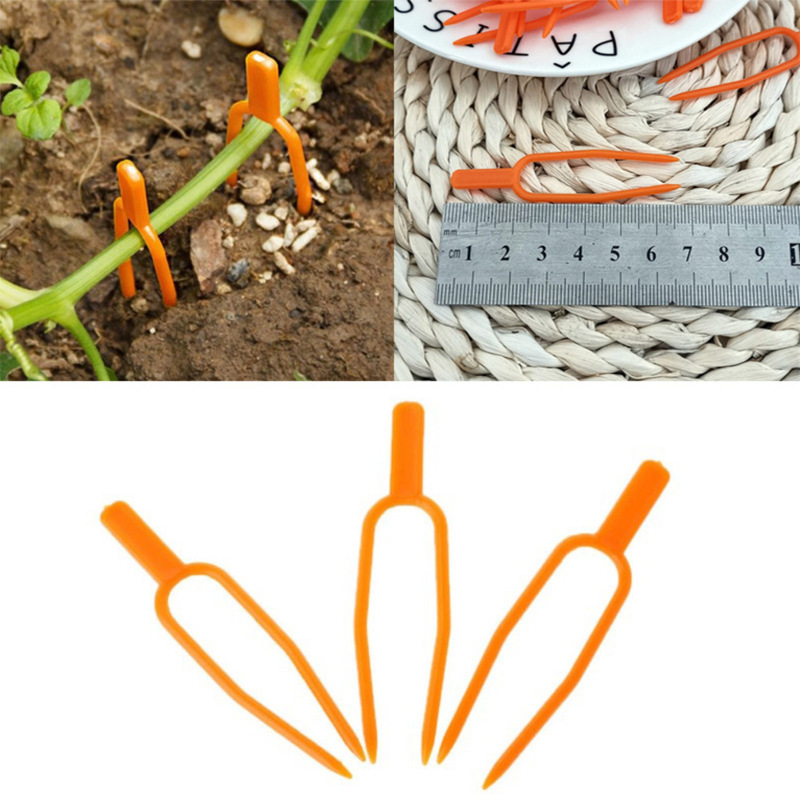 Plants de Soutien pour Plantes de Jardin en Plastique pour une Stabilité Optimale des Plantes