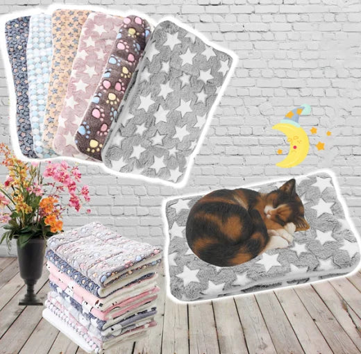 Coussin Chauffant Douillet pour Chats