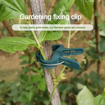 Set de Clips de Jardinage - Boucles de Plantes pour le Soutien des Plantes et L' Entretien du Jardin