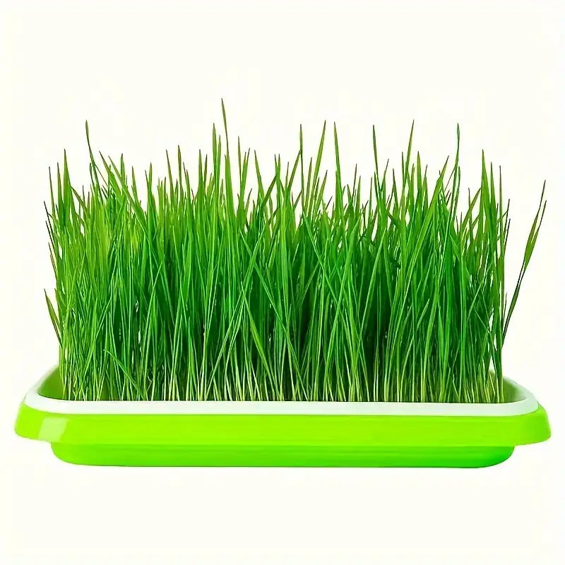 Boîtes De Germination Avec Couvercle - Plateau De Graines À Double Couche Pour Une Germination Efficace Des Graines