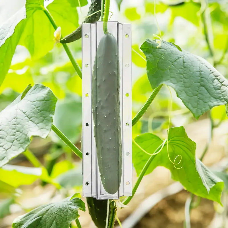 Moule en Étoile pour Concombre - Moule Créatif pour Fruits et Légumes