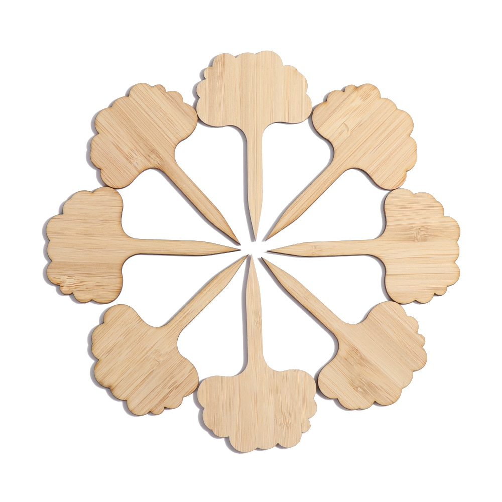 Etiquettes de Plantes en Bois pour le Jardin et le Balcon - Etiquettes Réinscriptibles pour les Herbes et les Plantes