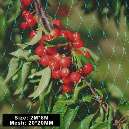 Filets De Protection Pour Les Plantes De Jardin - Filet Vert Contre Les Parasites Et Les Animaux