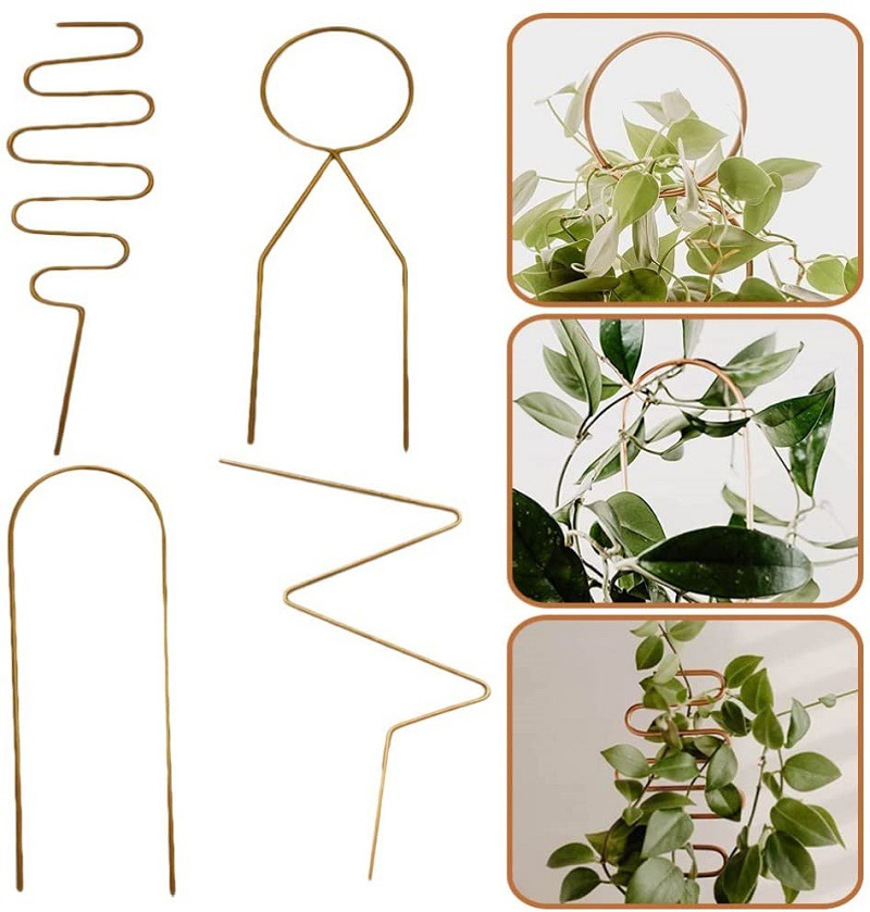 Porte-Plantes En Métal Pour Plantes Grimpantes De Différentes Formes