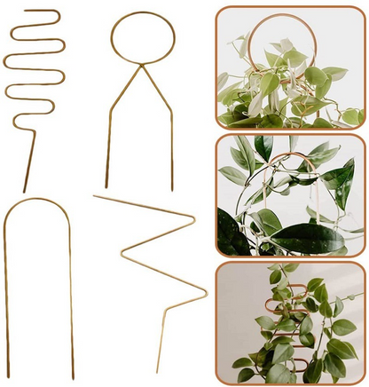 Porte-Plantes En Métal Pour Plantes Grimpantes De Différentes Formes