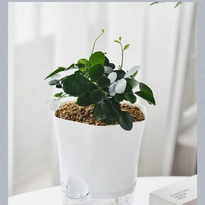 Pot De Plantes Avec Réservoir D' Eau - Pot De Fleurs Auto-Irrigant Pour Plantes D' Intérieur