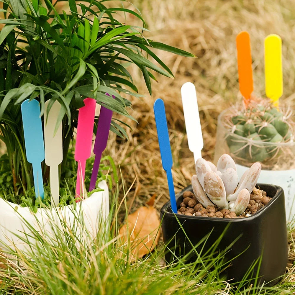 Plots Colorés en Plastique - Résistants aux Intempéries et Réinscriptibles