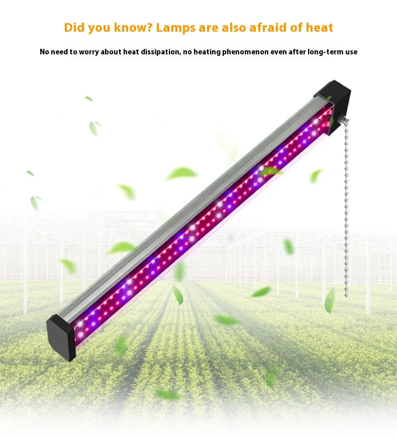 Lampe à LED pour Plantes avec Éclairage Plein - Spectre et Interrupteur à Tirette pour une Croissance Optimale des Plantes