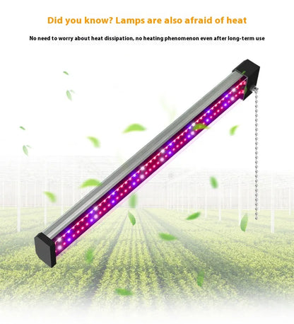 Lampe à LED pour Plantes avec Éclairage Plein - Spectre et Interrupteur à Tirette pour une Croissance Optimale des Plantes