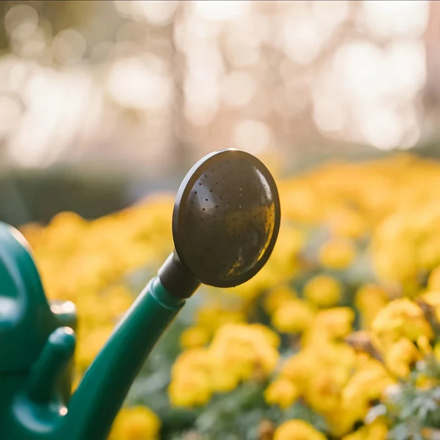 Arrosoir De Grande Capacité Avec Long Bec Verseur Pour Un Arrosage Et Un Soin Des Plantes Précis