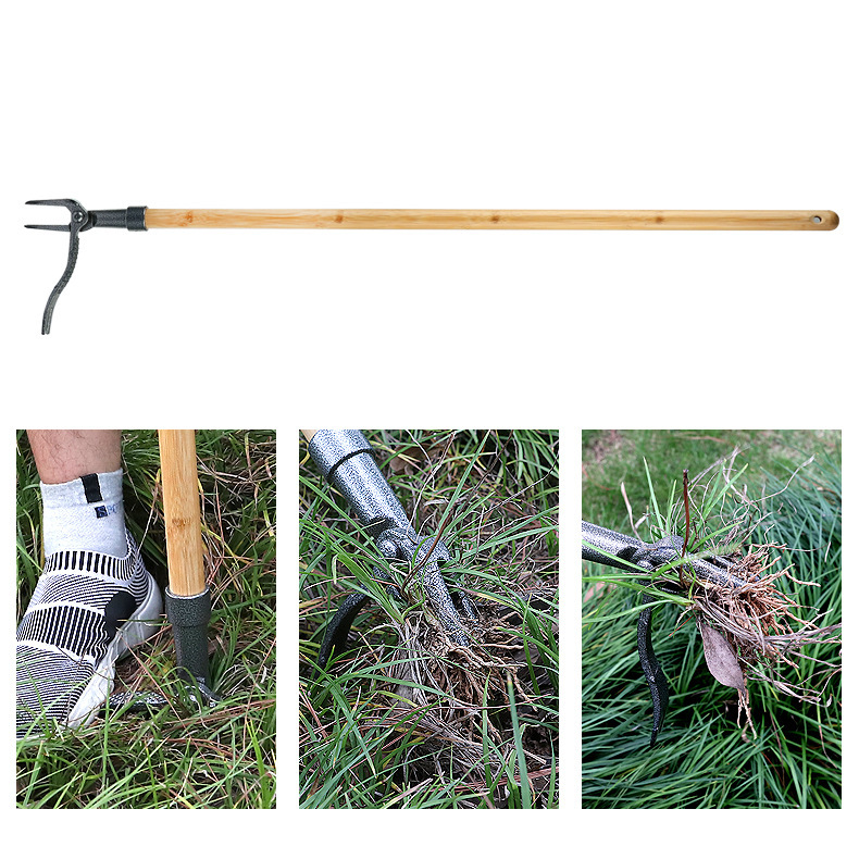 Désherbeur à Tête à 4 Griffes - Outil de Jardinage Efficace en Fer pour L' Élimination des Racines