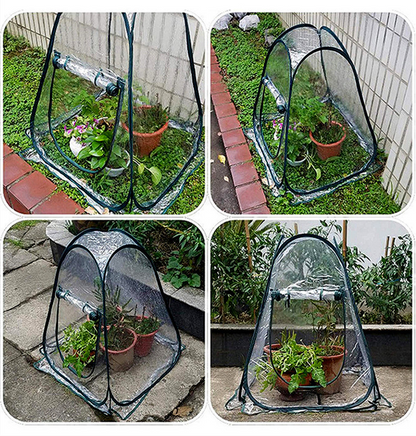 Tente Phytosanitaire Compacte pour les Plantes de Jardin - Serre Transparente