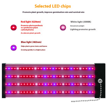 Lampe à LED pour Plantes avec Éclairage Plein - Spectre et Interrupteur à Tirette pour une Croissance Optimale des Plantes