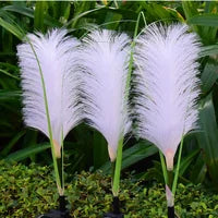 Eclairage Décoratif de Jardin en Rotin - Lampe Solaire en Design D' Herbe pour L' Extérieur